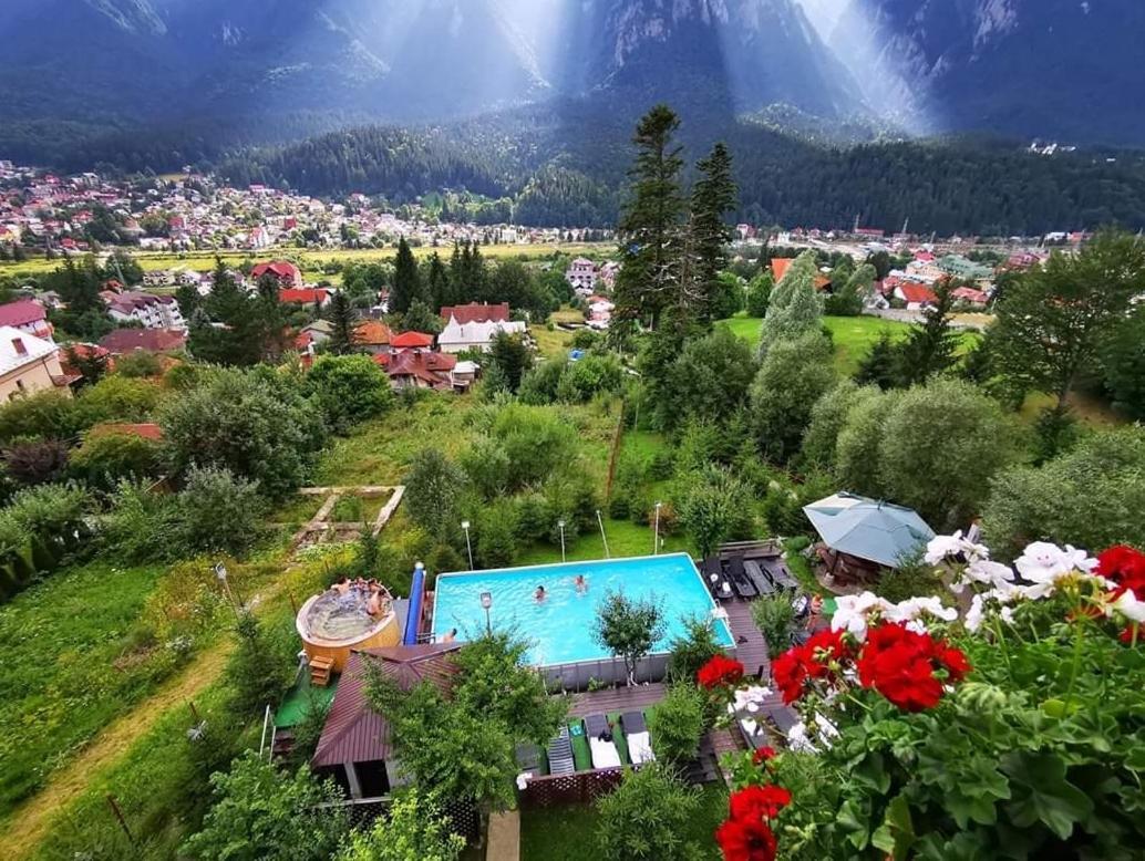Vila Alunis Buşteni Exterior foto