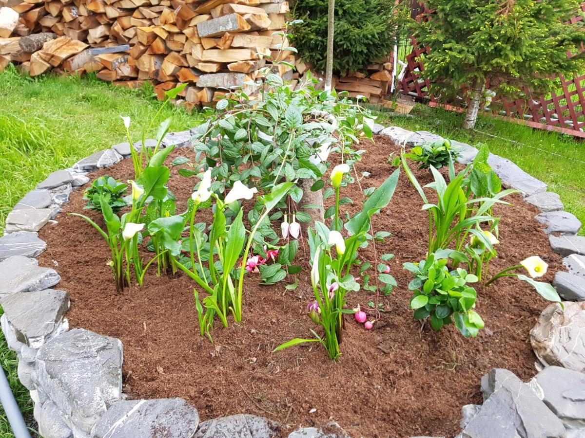 Vila Alunis Buşteni Exterior foto
