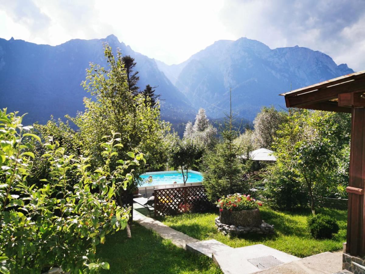 Vila Alunis Buşteni Exterior foto