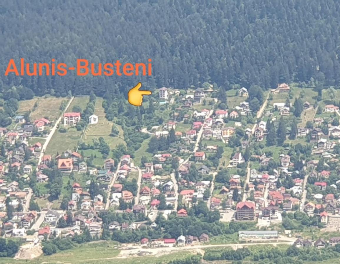 Vila Alunis Buşteni Exterior foto