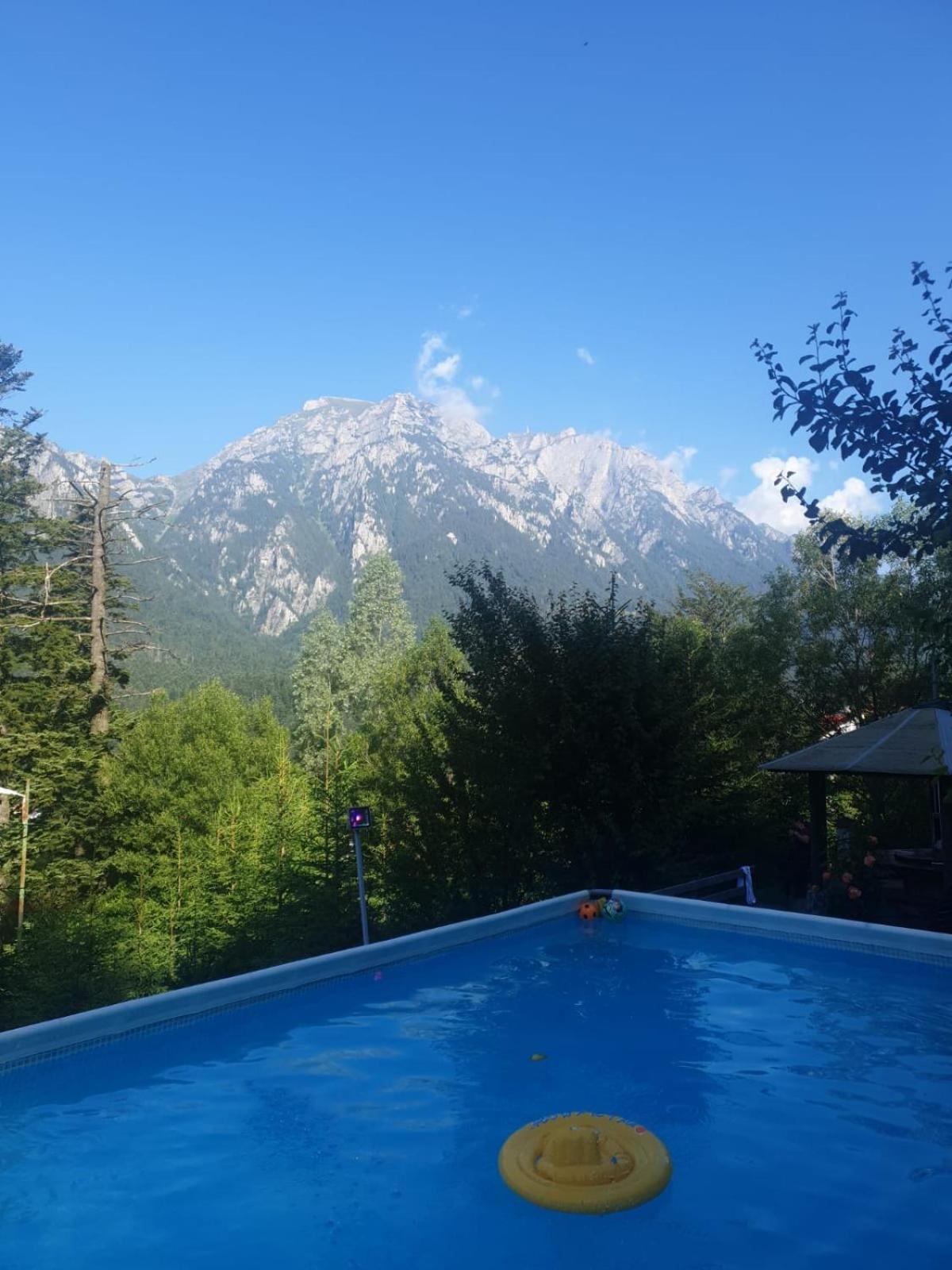 Vila Alunis Buşteni Exterior foto