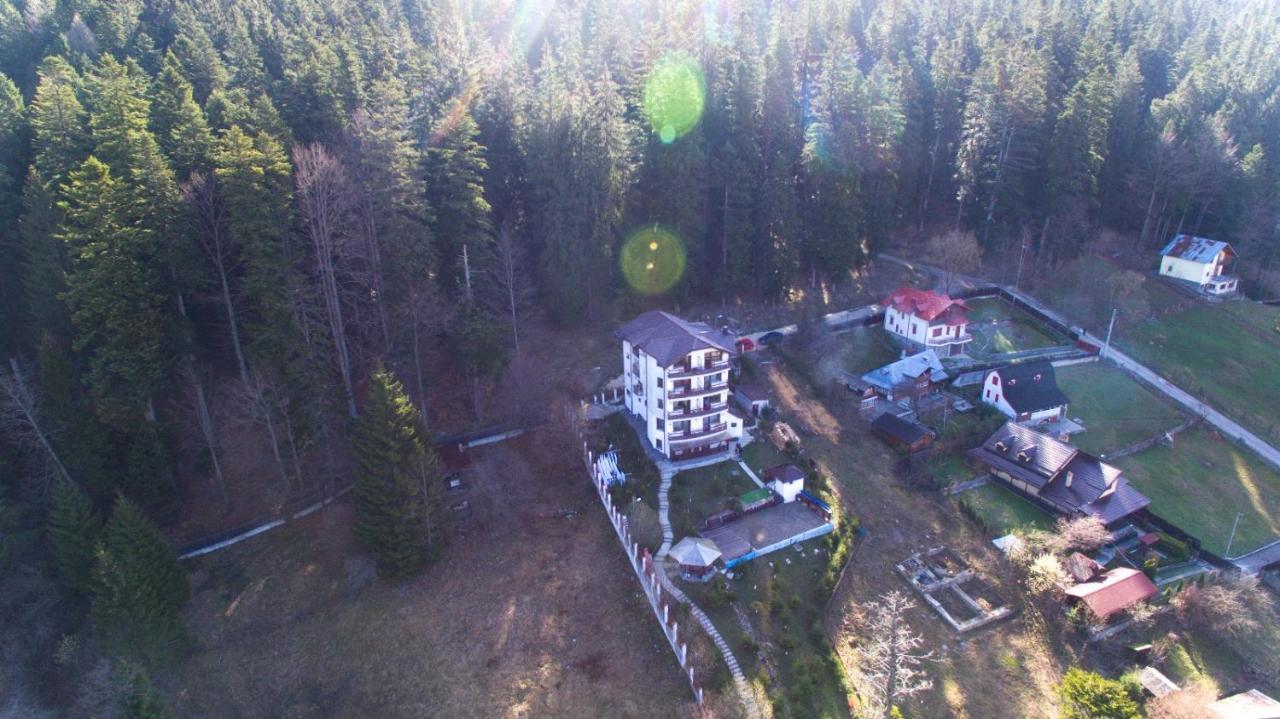 Vila Alunis Buşteni Exterior foto