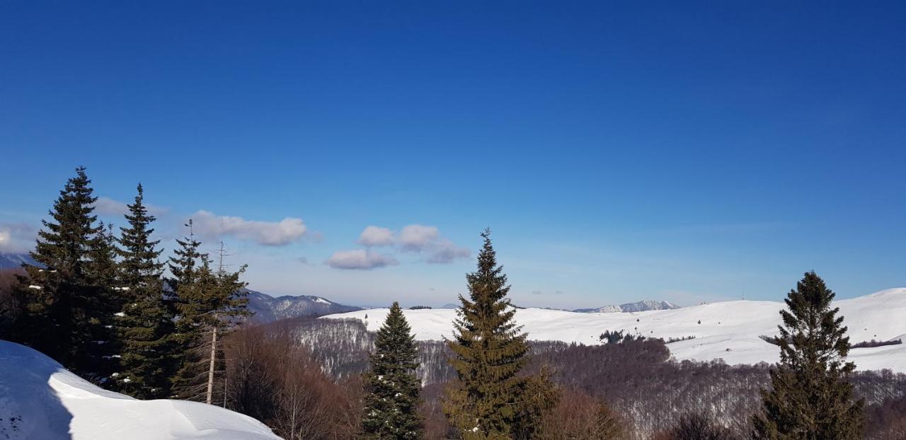 Vila Alunis Buşteni Exterior foto