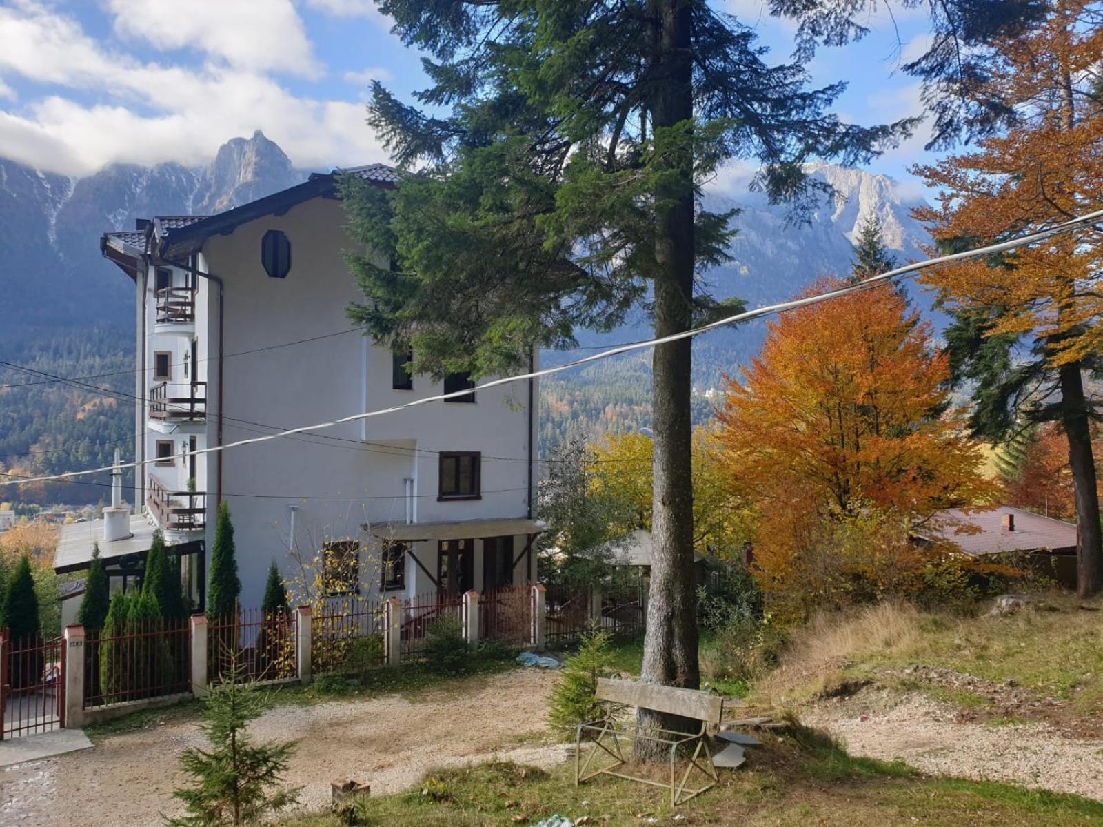 Vila Alunis Buşteni Habitación foto